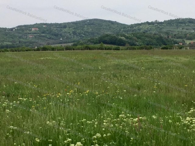 Eladó mezogazdasagi ingatlan, Balatonszőlősön 4.5 M Ft