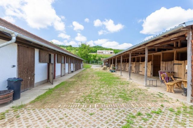 Eladó mezogazdasagi ingatlan, Szekszárdon 80 M Ft