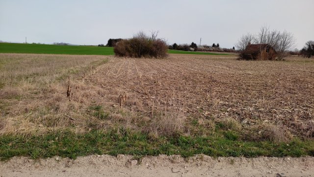 Eladó mezogazdasagi ingatlan, Balatonkeresztúron 7.1 M Ft