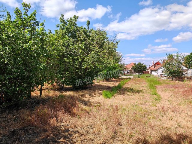 Eladó telek, Újkígyóson 1.6 M Ft / költözzbe.hu