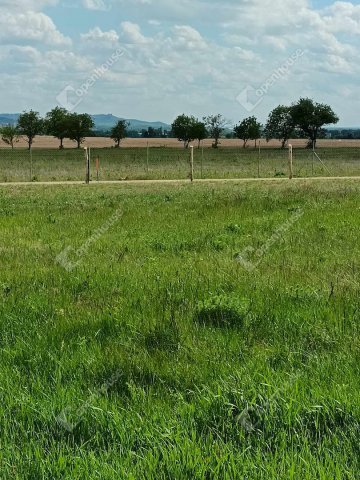 Eladó mezogazdasagi ingatlan, Tapolcán 45 M Ft