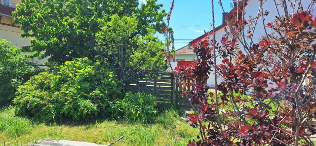 Eladó családi ház, Nagykőrösön 41.5 M Ft, 3 szobás