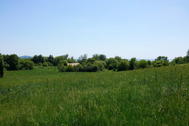 Eladó telek, Badacsonytomajon 65 M Ft / költözzbe.hu