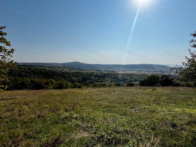 Eladó mezogazdasagi ingatlan, Balatoncsicsón 53 M Ft