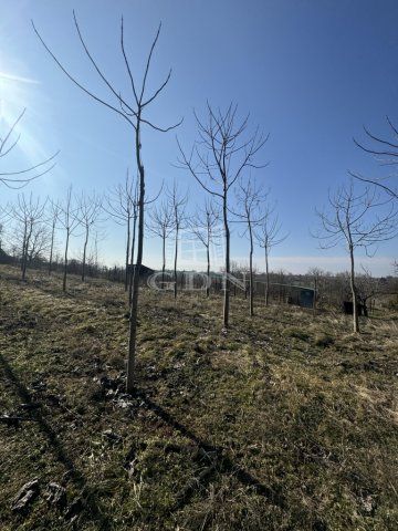 Eladó mezogazdasagi ingatlan, Mohácson 7 M Ft, 2 szobás