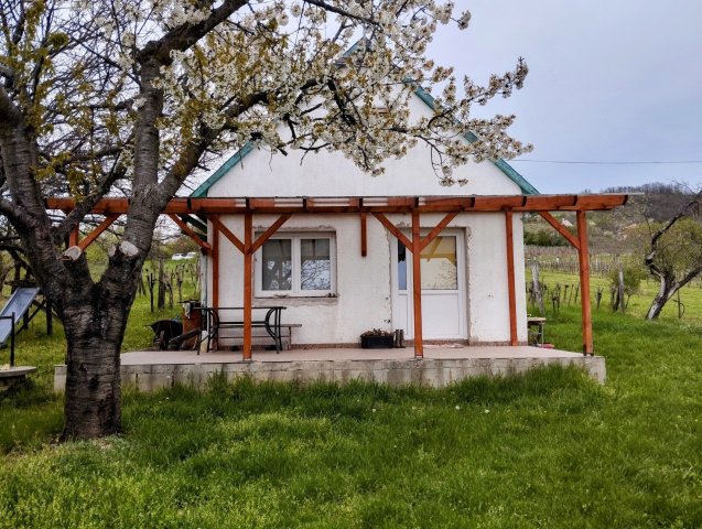 Eladó nyaraló, Pécselyen 41.9 M Ft, 3 szobás