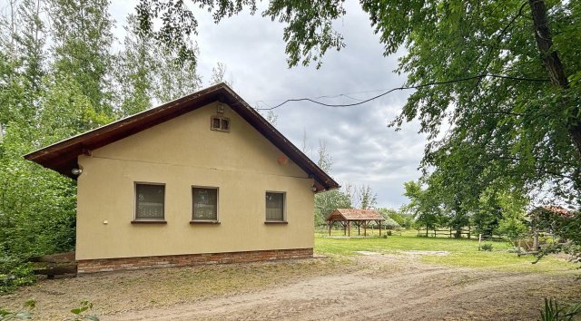 Eladó mezogazdasagi ingatlan, Szatymazon 55 M Ft, 2 szobás