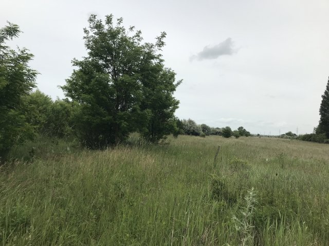 Eladó telek, Székesfehérvárott 18.9 M Ft / költözzbe.hu