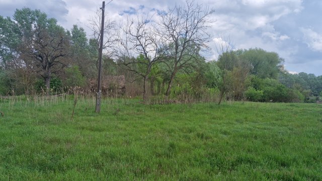 Eladó mezogazdasagi ingatlan, Nyíradonyban 11.9 M Ft, 2 szobás