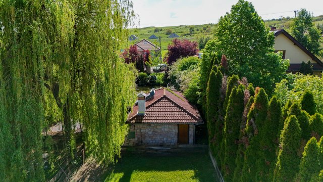 Eladó telek, Kosdon 45 M Ft / költözzbe.hu