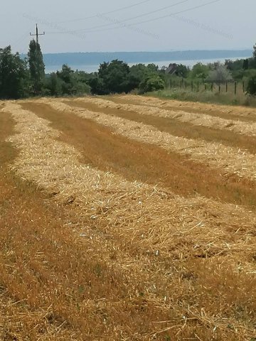 Eladó mezogazdasagi ingatlan, Balatonkenesén 9.8 M Ft