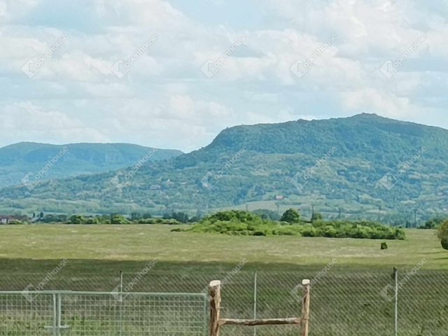 Eladó mezogazdasagi ingatlan, Tapolcán 45 M Ft