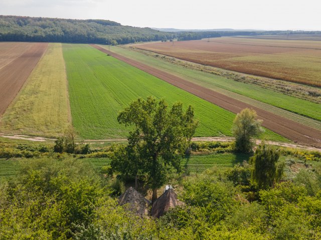 Eladó nyaraló, Patvarcon 24.9 M Ft, 1 szobás