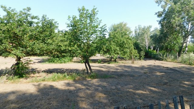 Eladó családi ház, Szatymazon 49.5 M Ft, 3 szobás
