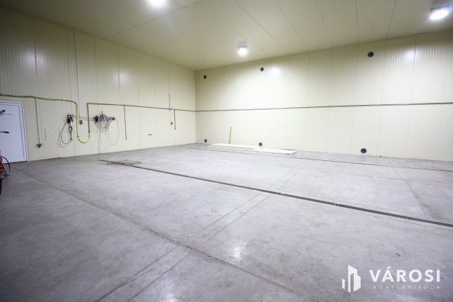 Kiadó ipari ingatlan, Hódmezővásárhelyen 900 E Ft / hó