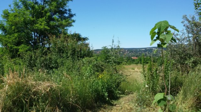 Eladó telek, Budapesten, II. kerületben 5.9 M Ft