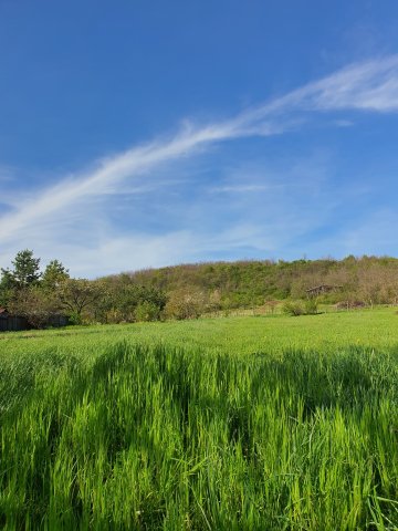 Eladó telek, Kazáron 4.9 M Ft / költözzbe.hu