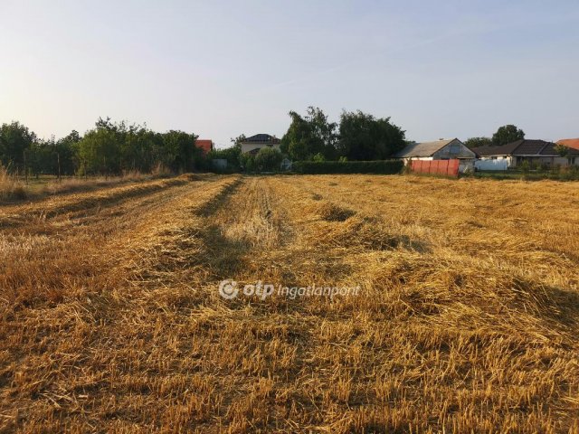 Eladó telek, Debrecenben 33 M Ft / költözzbe.hu