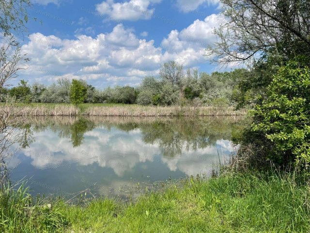 Eladó mezogazdasagi ingatlan, Szolnokon 4.8 M Ft