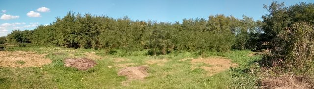 Eladó telek, Pécsett 4.7 M Ft / költözzbe.hu