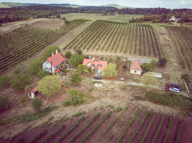 Eladó családi ház, Szentantalfán 245.85 M Ft, 5 szobás