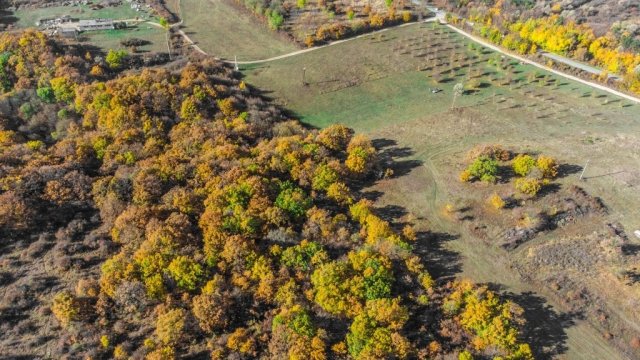 Eladó ipari ingatlan, Szentkirályszabadján 500 M Ft