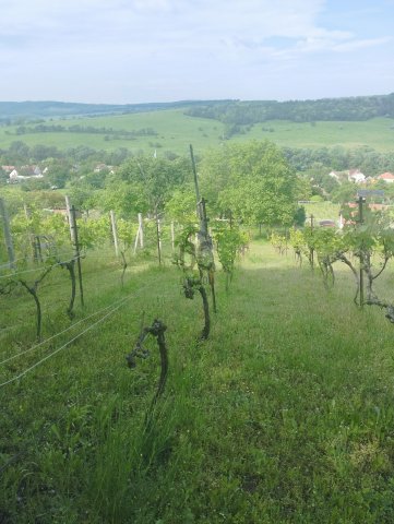 Eladó telek, Kerekin 4.9 M Ft / költözzbe.hu