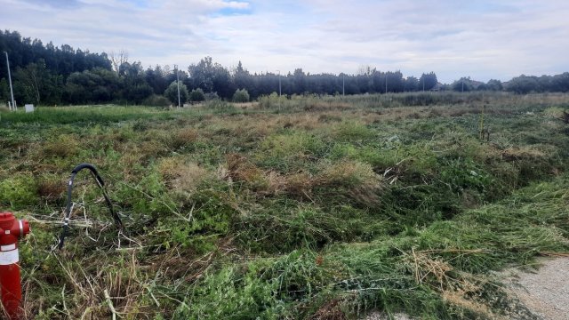 Eladó telek, Fertőszentmiklóson 20 M Ft / költözzbe.hu