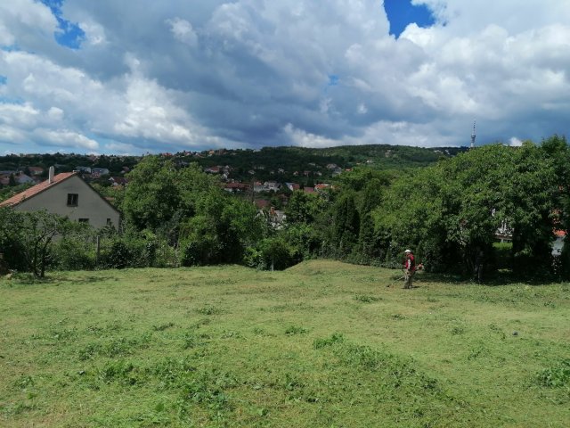 Eladó telek, Pécsett 25 M Ft / költözzbe.hu