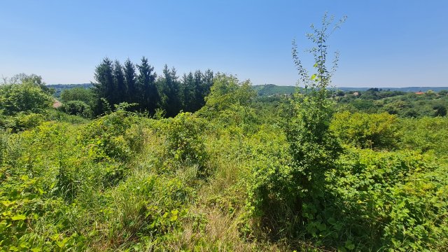 Eladó telek, Zalaegerszegen, Kis Csarit utcában 44 M Ft