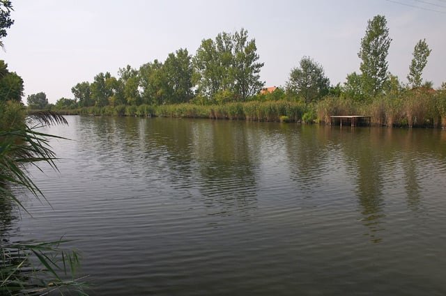 Eladó mezogazdasagi ingatlan, Gyomaendrődön 7.9 M Ft
