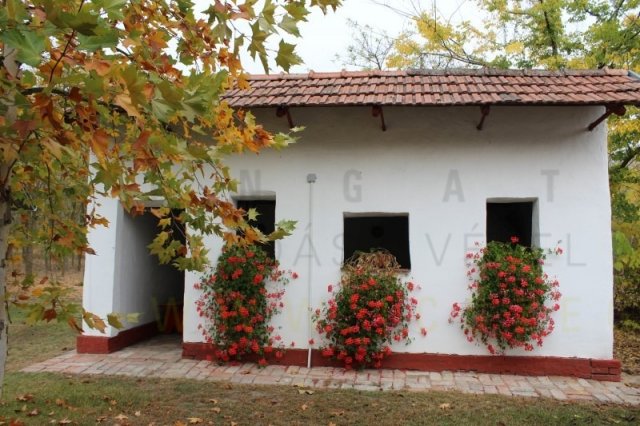 Eladó mezogazdasagi ingatlan, Ásotthalmán 23.9 M Ft