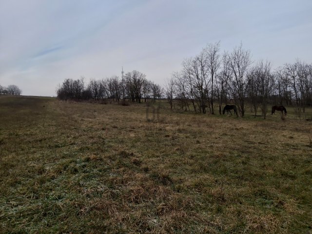 Eladó telek, Győrött 11.8 M Ft / költözzbe.hu