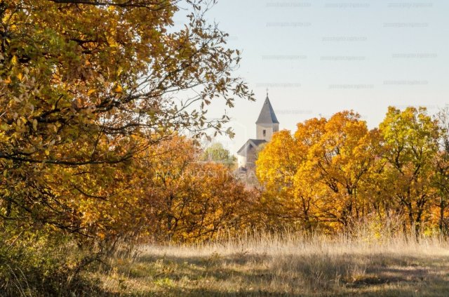 Eladó ipari ingatlan, Szentkirályszabadján 450 M Ft