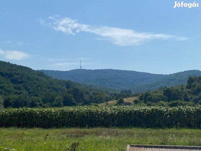 Eladó telek, Tokajban 129 M Ft / költözzbe.hu