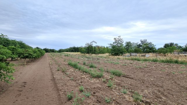 Eladó telek, Pusztahencsen 5.5 M Ft / költözzbe.hu