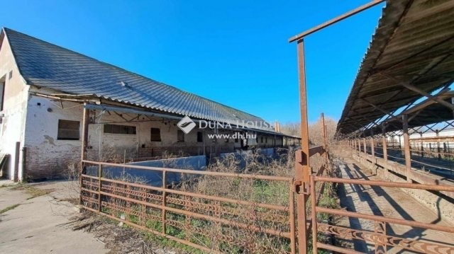 Eladó mezogazdasagi ingatlan, Hódmezővásárhelyen 80 M Ft