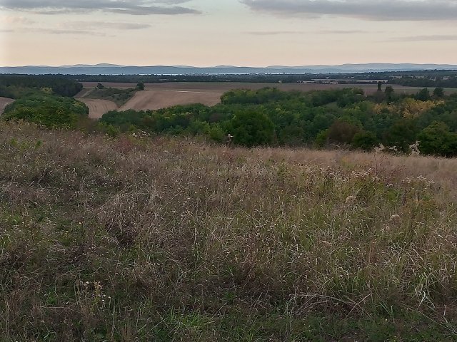 Eladó telek, Ságváron 10 M Ft / költözzbe.hu