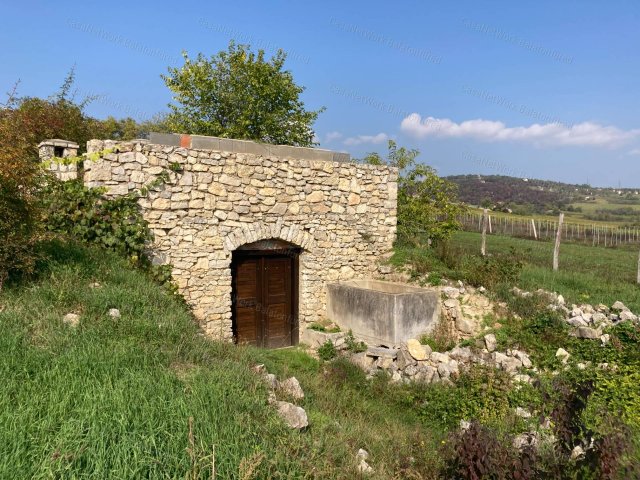 Eladó családi ház, Balatonszőlősön 37.9 M Ft