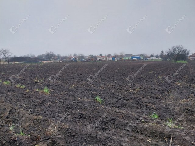 Eladó telek, Kőszárhegyen 6.75 M Ft / költözzbe.hu