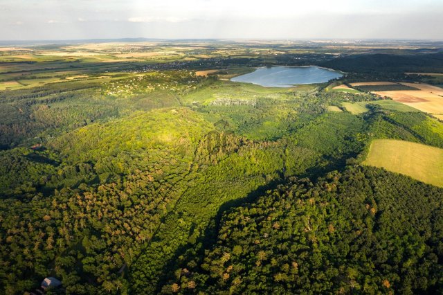 Eladó családi ház, Fehérvárcsurgón 295 M Ft, 4 szobás