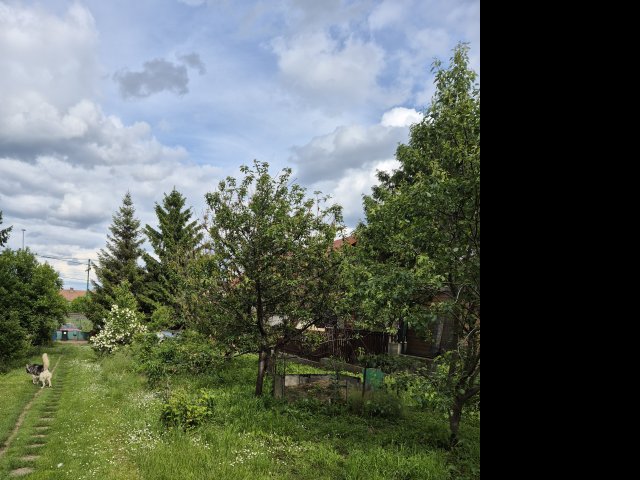 Eladó telek, Budakalászon 90 M Ft / költözzbe.hu