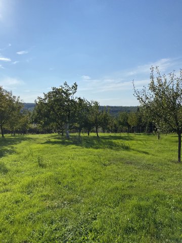 Eladó telek, Cserszegtomajon, Akácfa utcában 13.9 M Ft