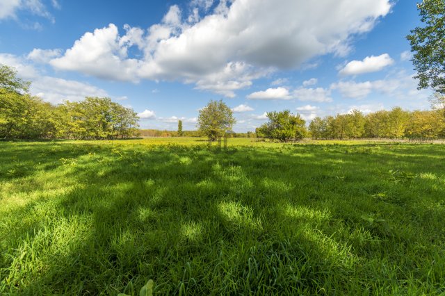 Eladó mezogazdasagi ingatlan, Tápióbicskén, Kossuth dűlőn