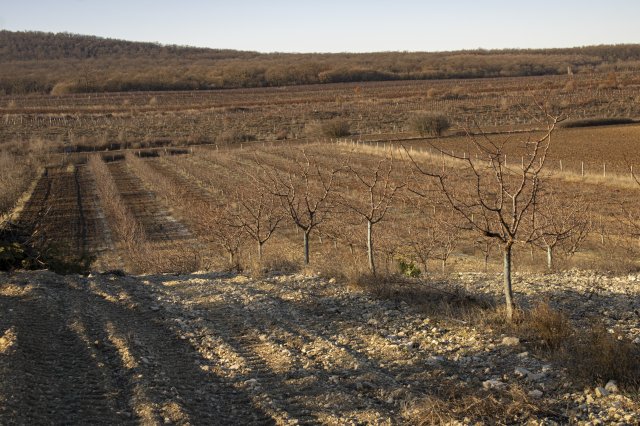 Eladó mezogazdasagi ingatlan, Zánkán 129 M Ft