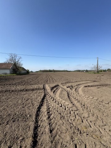 Eladó mezogazdasagi ingatlan, Forráskúton 38 M Ft