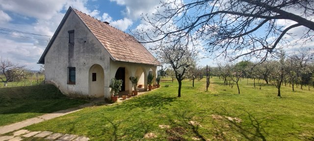 Eladó családi ház, Dombóváron 11 M Ft, 2+1 szobás