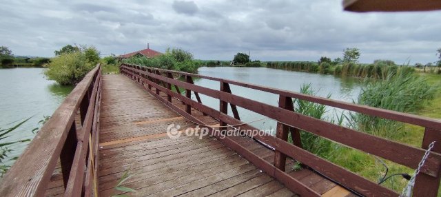 Eladó ipari ingatlan, Székesfehérvárott 160 M Ft