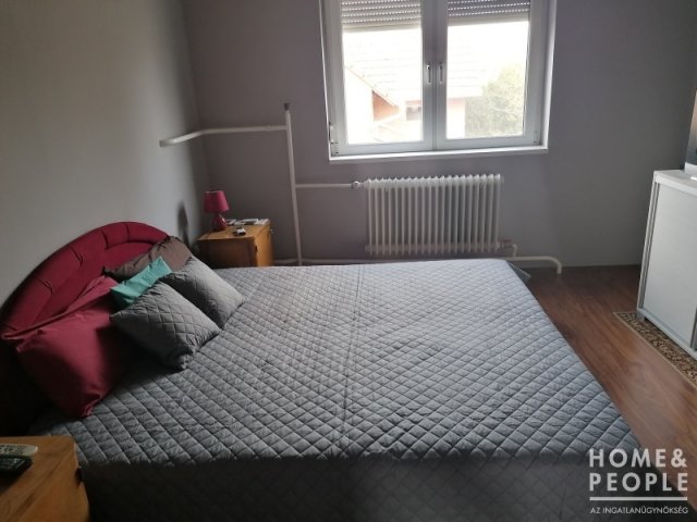 Eladó családi ház, Domaszéken 150 M Ft, 8+2 szobás