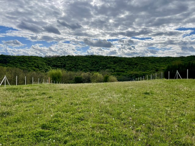 Eladó mezogazdasagi ingatlan, Zalacsányon 7.99 M Ft